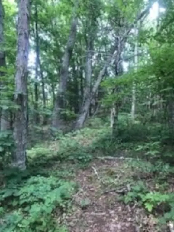 Picture 19