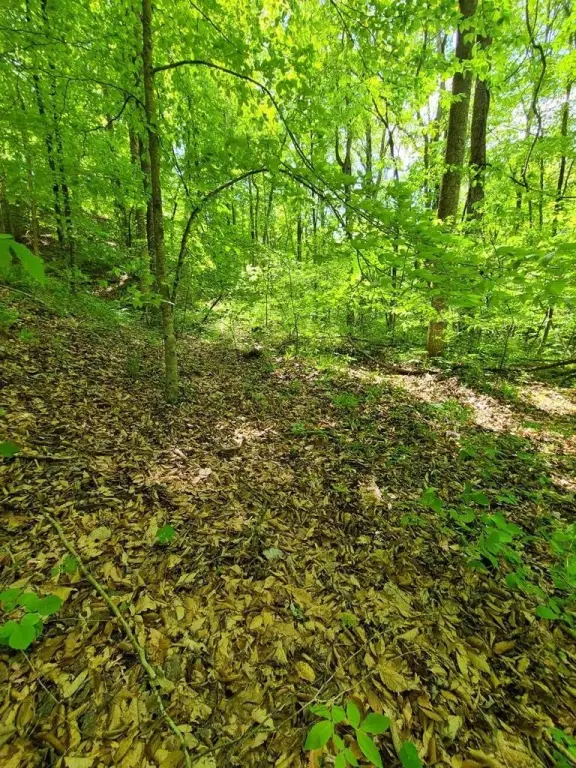 Picture 3