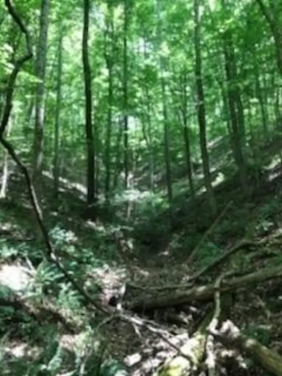 Picture 13
