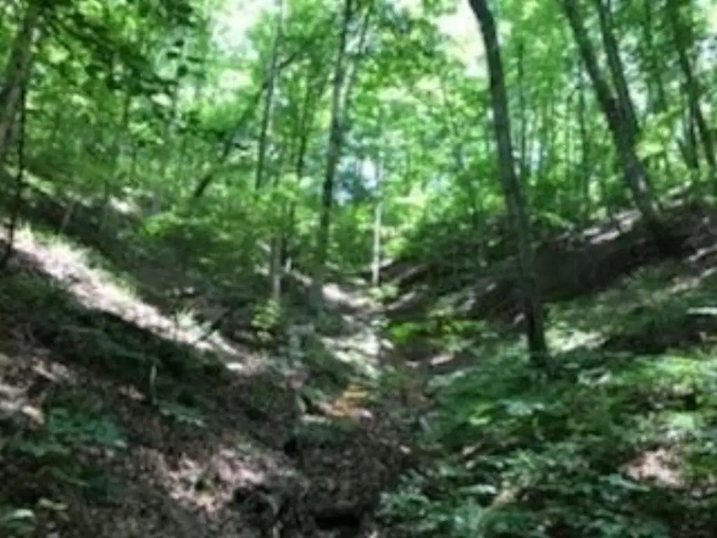 Picture 14
