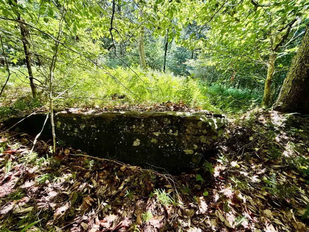 Picture 21
