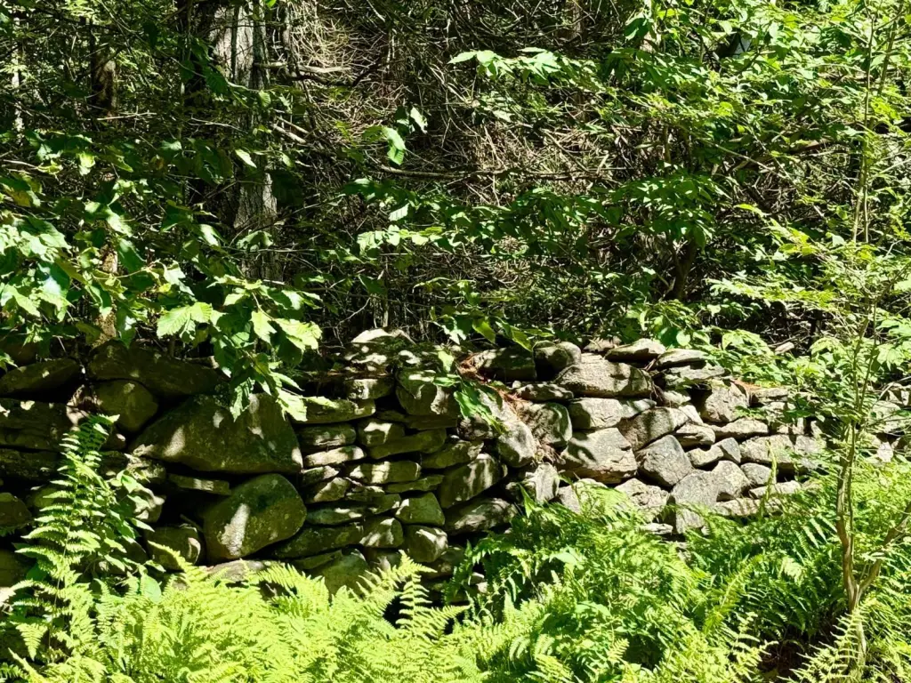 Picture 18