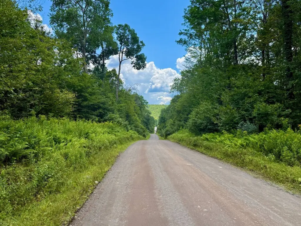 Picture 16