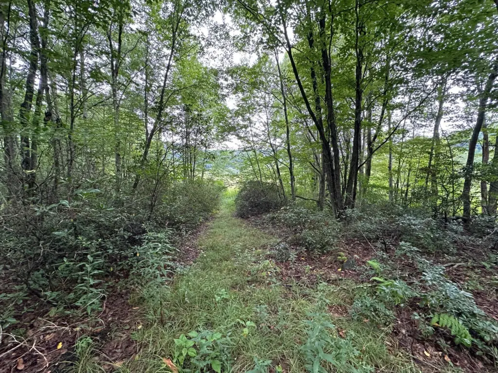 Picture 48