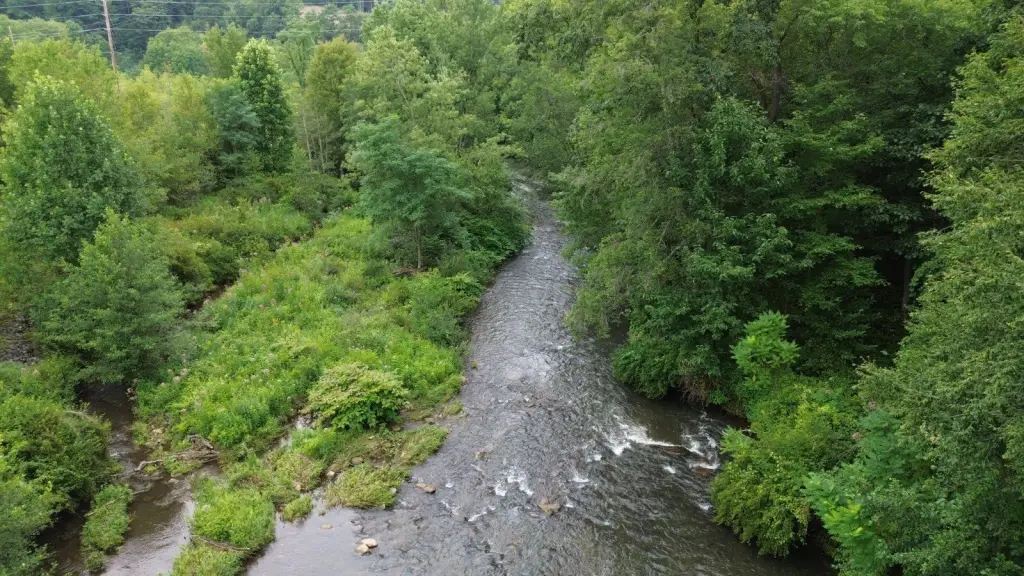 Picture 21