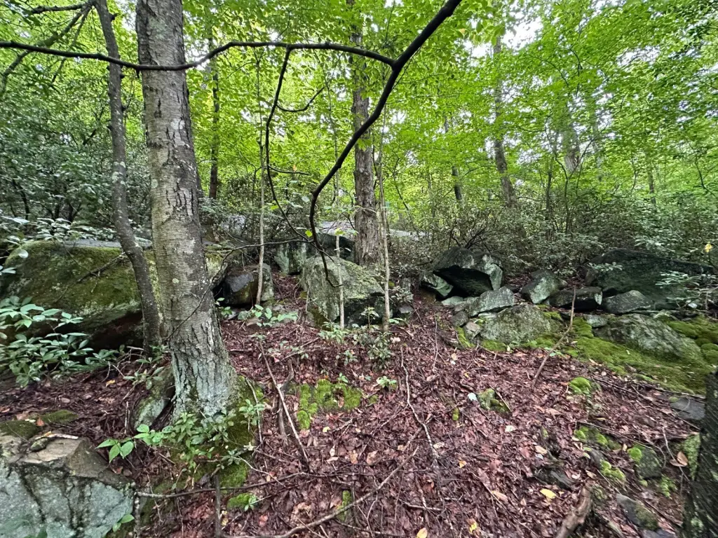Picture 43
