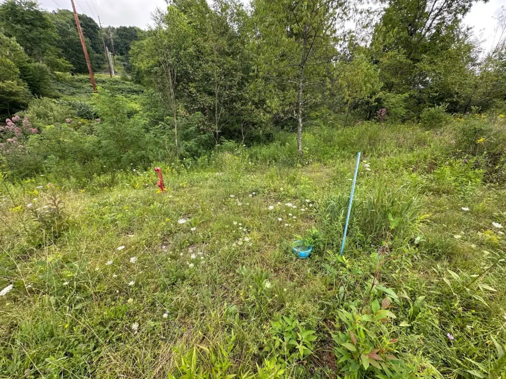 Picture 27