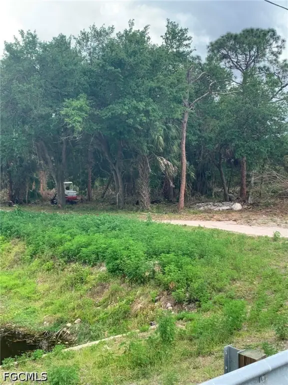 Picture 9