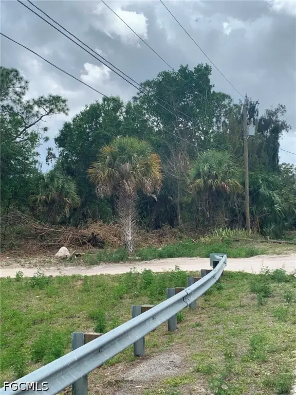 Picture 6