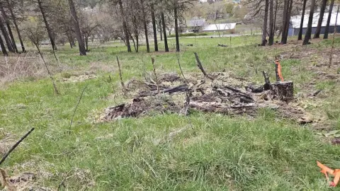 Buildable Lot in Peck, Idaho