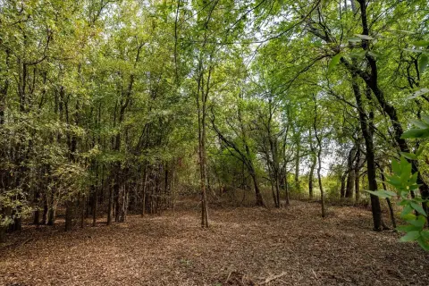 Unzoned Land Tract