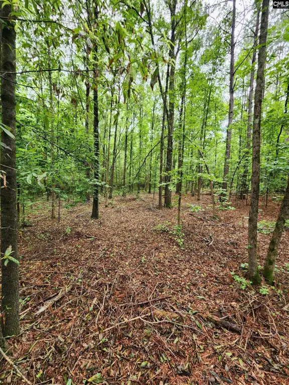 Picture 26