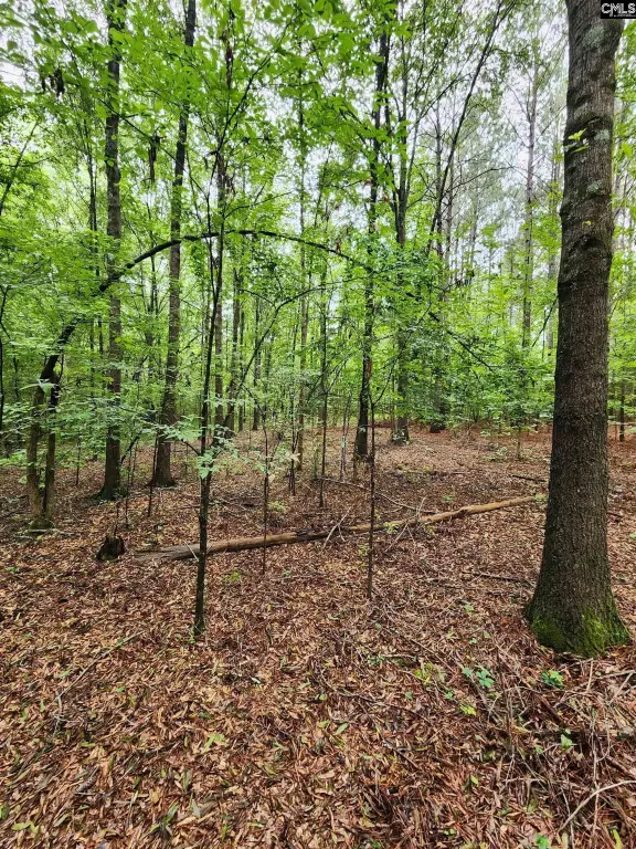 Picture 24