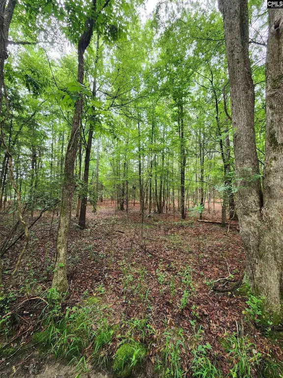 Picture 21