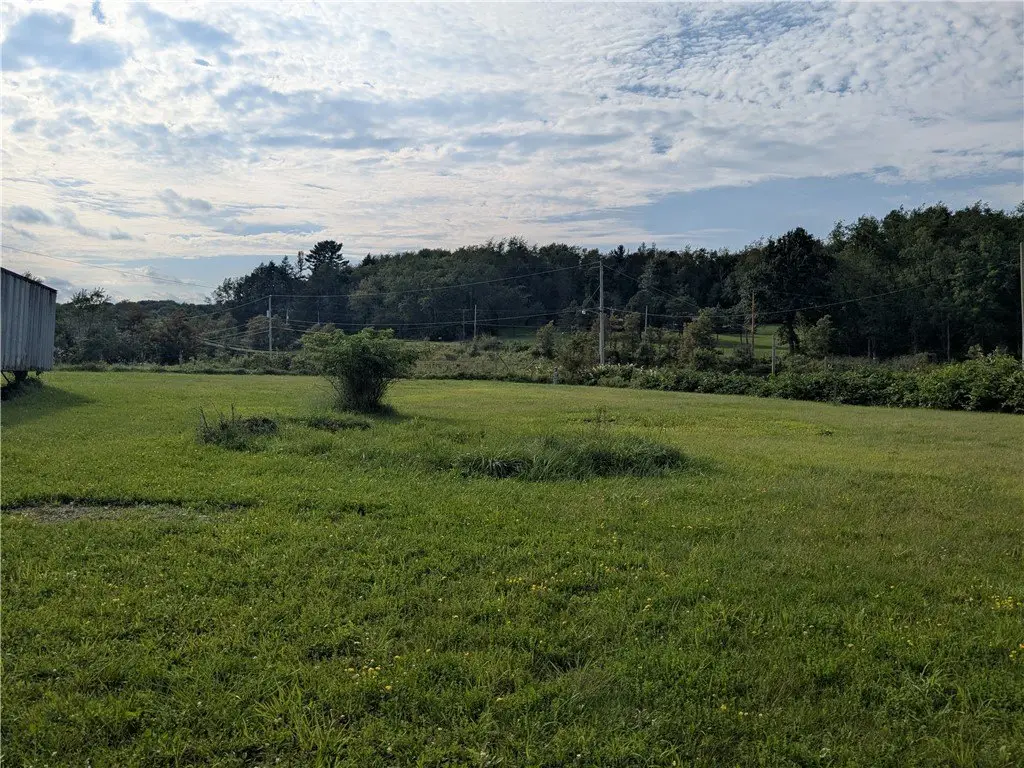 Picture 10