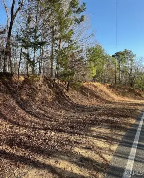 Land Available in Coker, AL