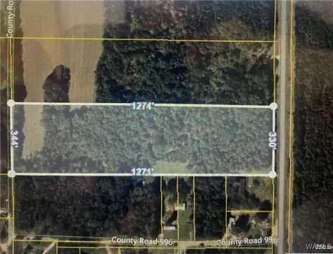 Orrville, AL Land Parcel