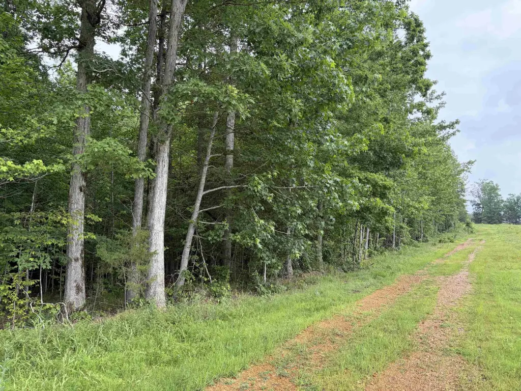 Picture 19