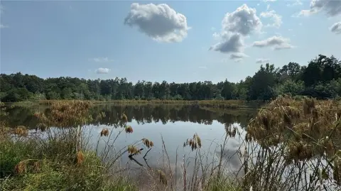 78 Acres Timber Hunting Land