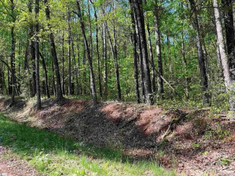 Wellford Acreage in District Five