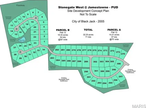 Development-Ready Land in Black Jack