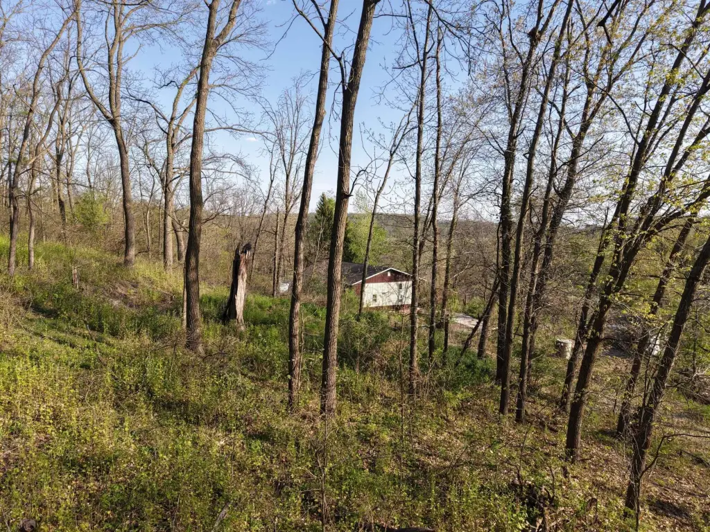 Picture 14