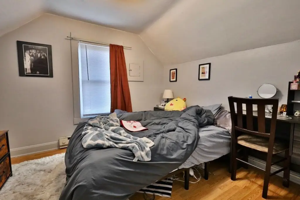 Picture 19