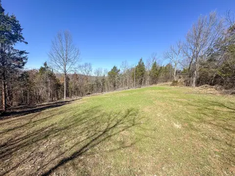 Wooded Hunting and Recreation Tract