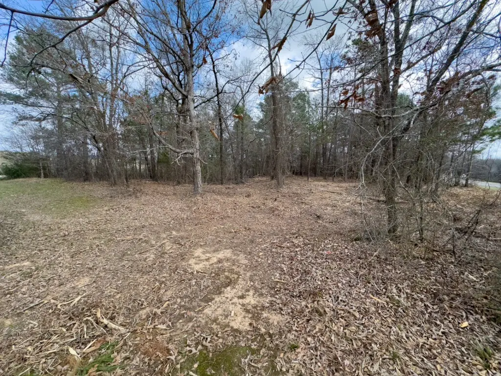 Picture 4