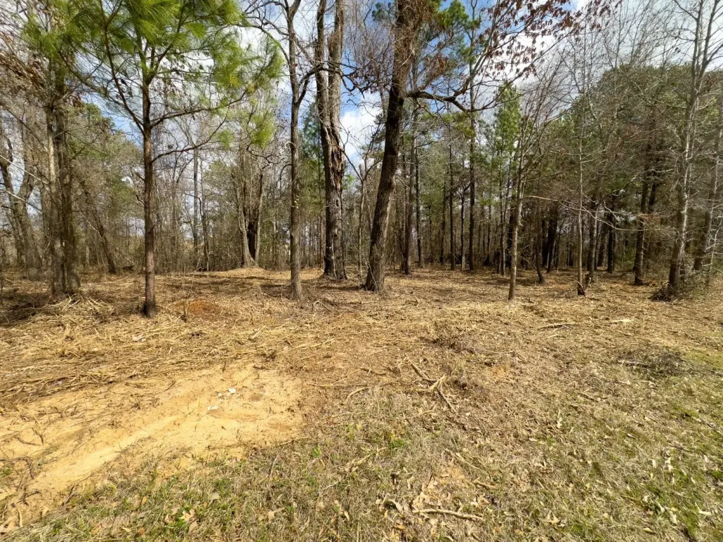 Picture 6