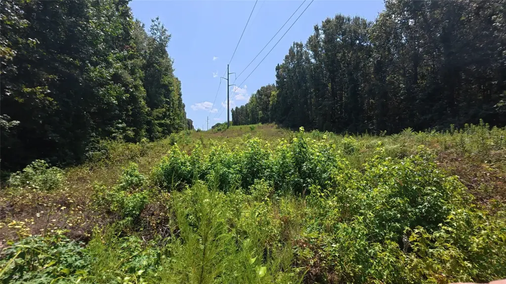 Picture 22