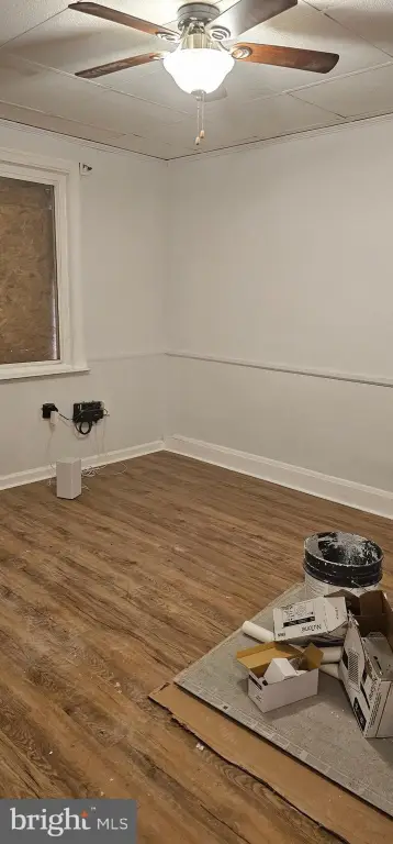 Picture 2