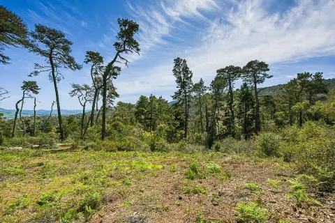 Inverness Residential Lot with Views