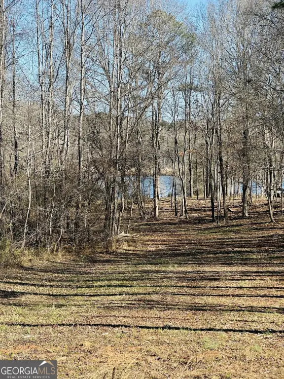 Picture 4