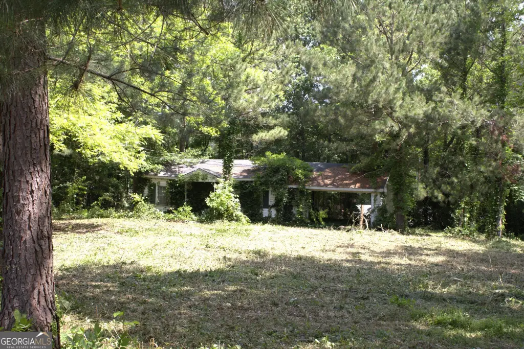 Picture 6