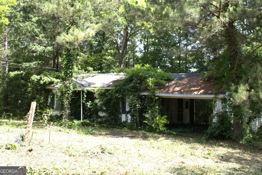 Picture 3