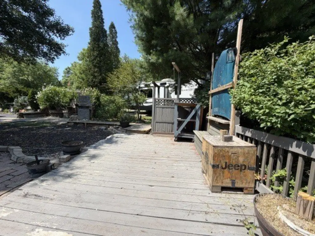 Picture 15