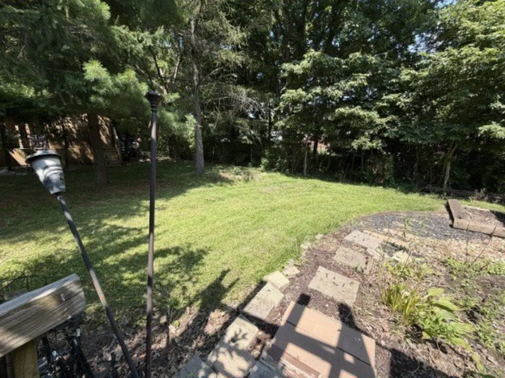Picture 13