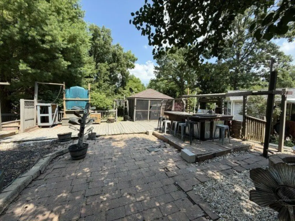 Picture 8