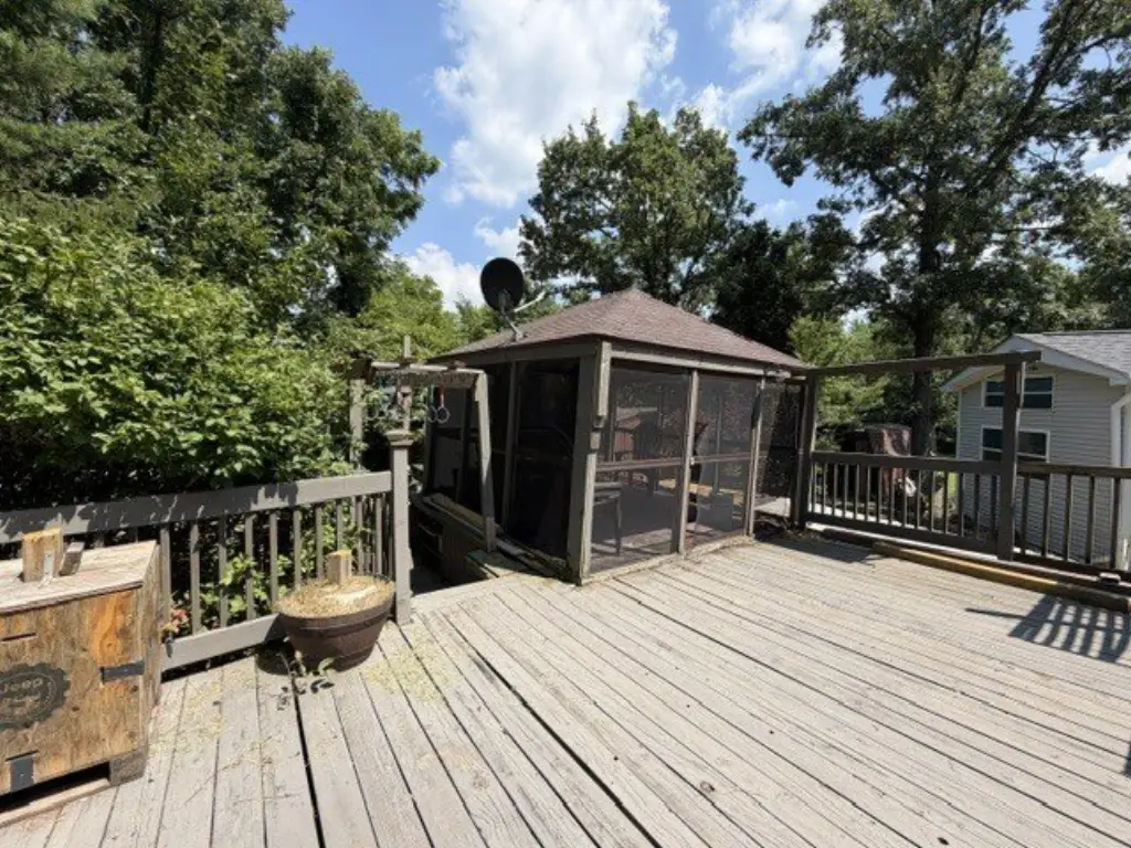 Picture 6