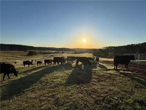 89 Acres of Fenced Pastureland