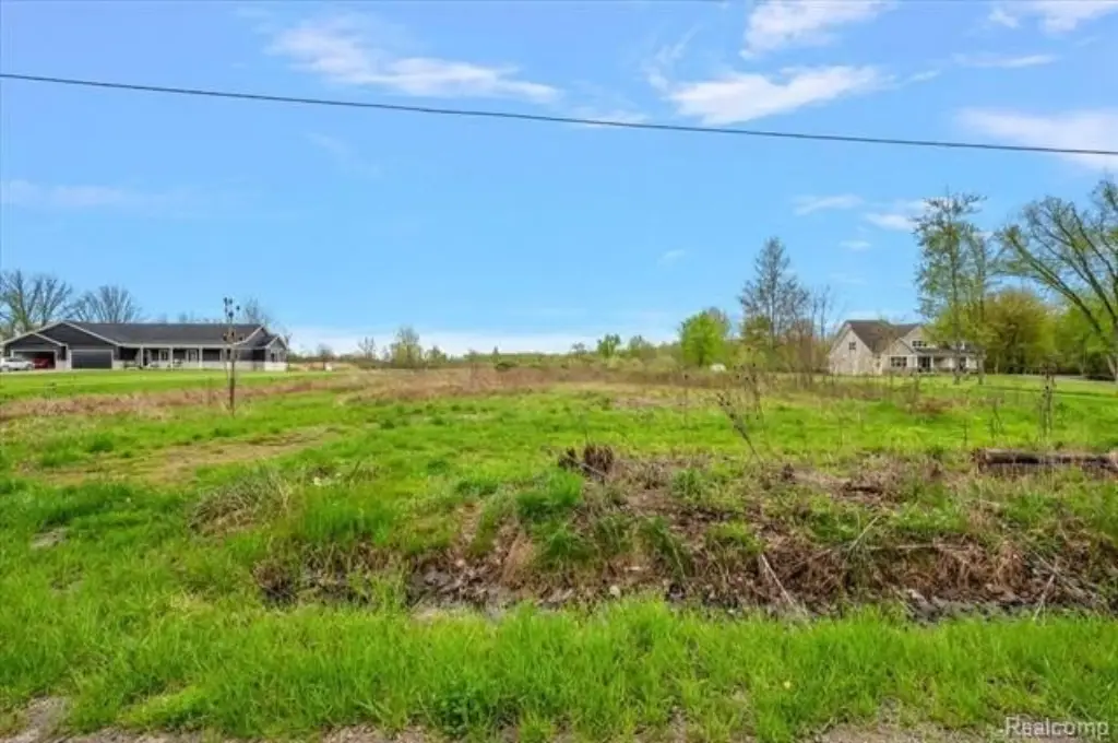 Picture 4