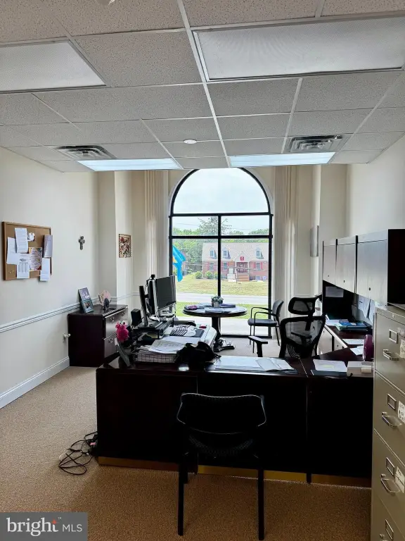 Picture 19