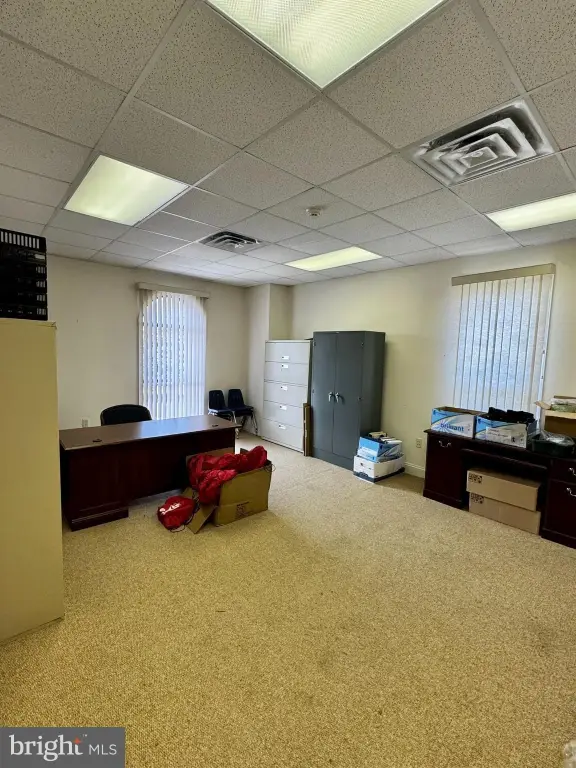 Picture 15