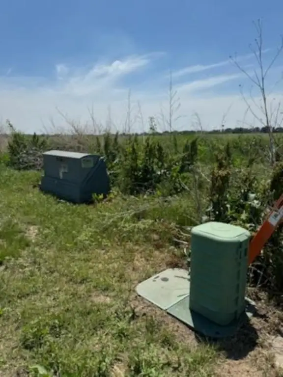Picture 3