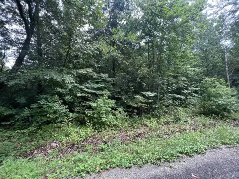 Huron, TN Wooded Land