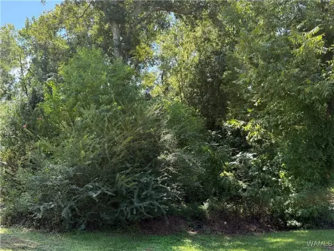 Tuscaloosa, AL Land Investment