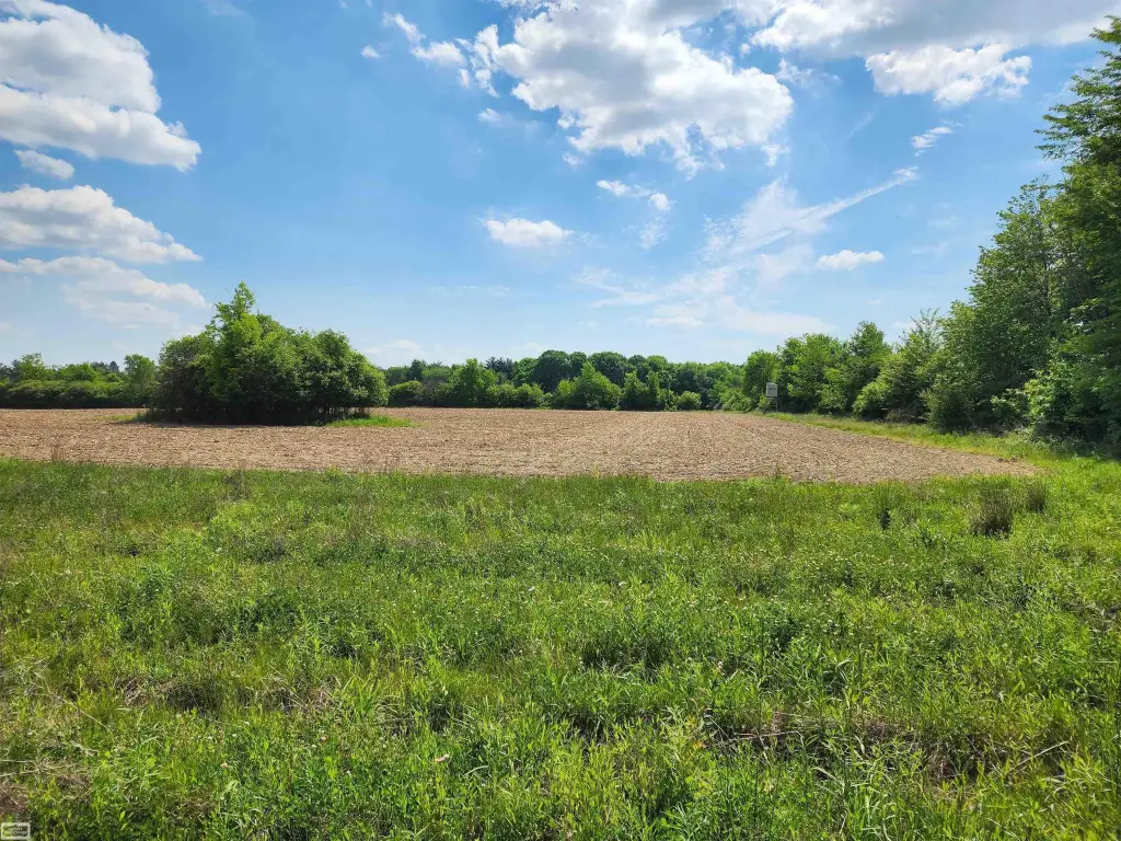 Picture 15