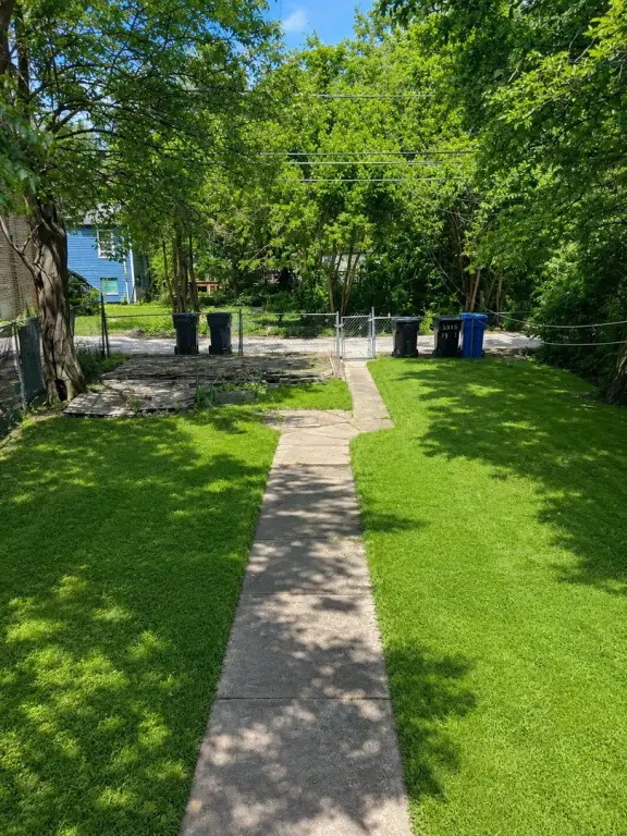 Picture 21