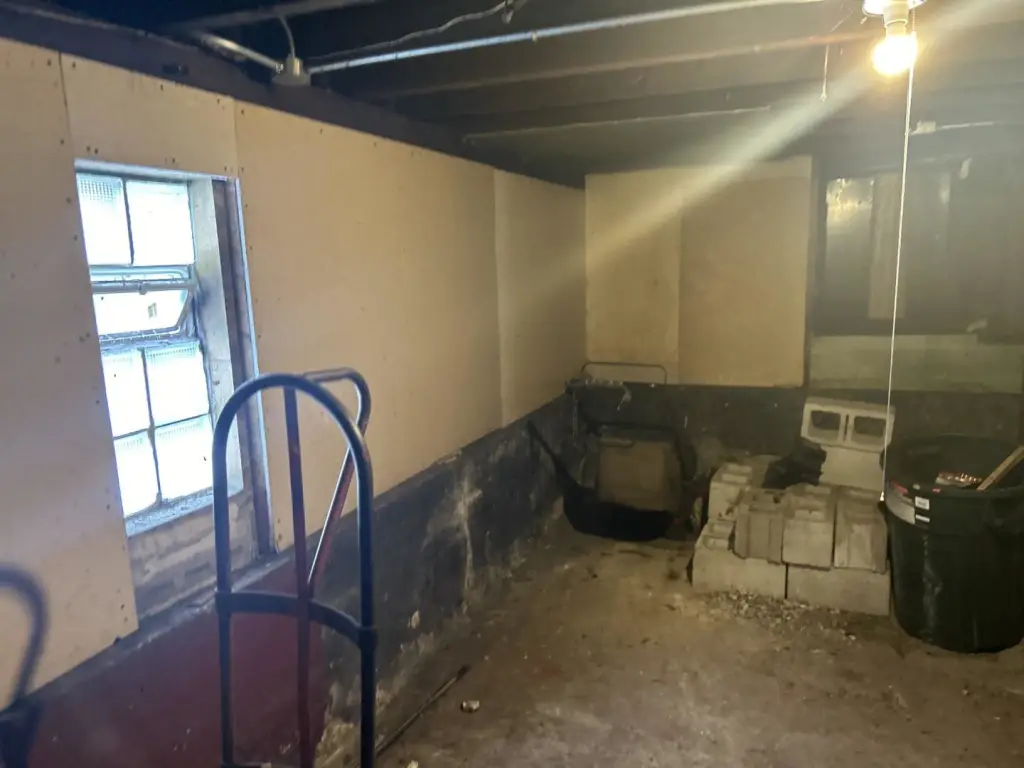 Picture 19